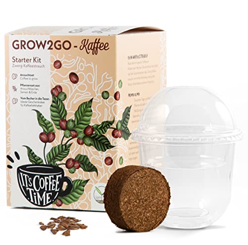 GROW2GO Dein eigener Zwergkaffee Strauch zum selber Pflanzen...