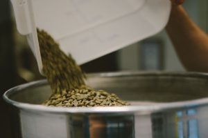 grüner kaffee extrakt